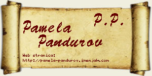 Pamela Pandurov vizit kartica